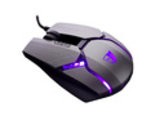 Test Tesoro Gandiva