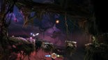 Test Ori and the Blind Forest