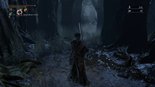 Test Bloodborne