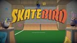 Test Skatebird