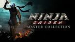 Test Ninja Gaiden Master Collection