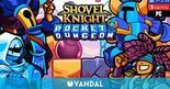 Test Shovel Knight Pocket Dungeon
