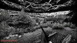 Test Kingdom Of The Dead