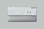 Test Razer Pro Type