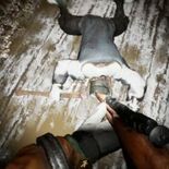 Test Expedition Zero