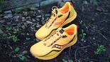 Test Saucony Peregrine 12