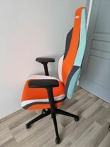 Test Recaro Rae