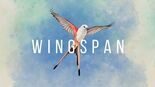 Test Wingspan