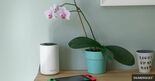 Test TP-Link Deco XE75