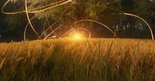Test Everybody's Gone to the Rapture