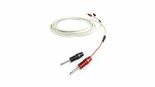 Test Chord RumourX