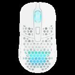 Test Xtrfy M42