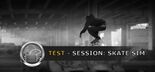 Test Session Skate Sim