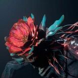 The Chant reviewed by PlaySense