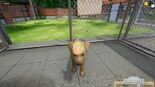 Test Animal Shelter Simulator