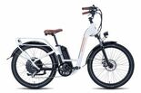 Anlisis Rad Power Bikes RadCity