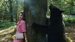 Test Cocaine Bear