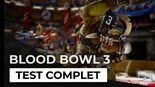 Test Blood Bowl 3