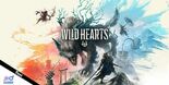 Test Wild Hearts