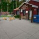 Test Animal Shelter Simulator