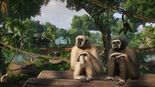 Test Planet Zoo Tropical Pack
