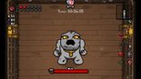 Test The Binding of Isaac Afterbirth