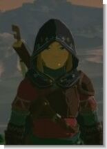 Test The Legend of Zelda Tears of the Kingdom