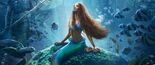 Test The Little Mermaid