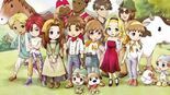 Test Story of Seasons A Wonderful Life