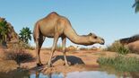 Test Planet Zoo Arid Animal Pack