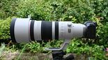 Canon RF 100-300mm Review