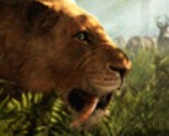 Test Far Cry Primal