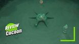 Test Cocoon
