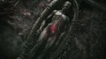 Test Scorn