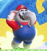 Test Super Mario Bros. Wonder