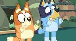Test Bluey