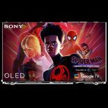 Test Sony XR-55A80L