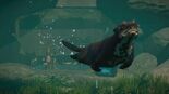 Test Planet Zoo