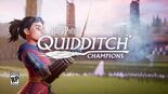 Test Harry Potter Quidditch Champions