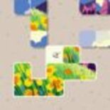 Test Wilmot Works It Out