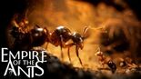 Test Empire of the Ants