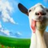 Test Goat Simulator