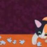 Test 6-Sided Stories