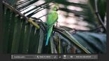 Test Adobe Photoshop CC
