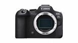 Test Canon R6 Mark II