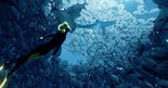 Test Abzu