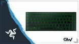 Test Razer Joro