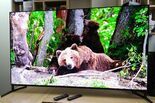 Sony Bravia 8 II Review