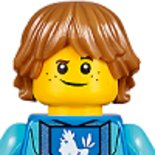 Test LEGO 70333