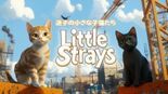 Test Stray